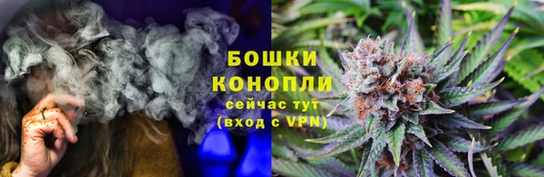 ГАЛЛЮЦИНОГЕННЫЕ ГРИБЫ Алзамай