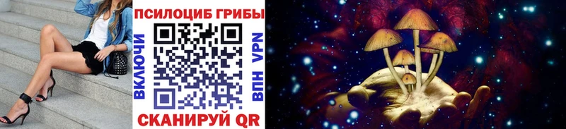 маркетплейс состав  Новоаннинский  Галлюциногенные грибы GOLDEN TEACHER 